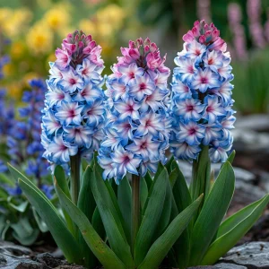 Гиацинт Пинк Мари купить по цене от 2099р. в интернет-магазине «Посадика» с доставкой почтой в в Архангельске и по всей России – [изображение №1].